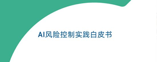 AI风险控制实践白皮书
